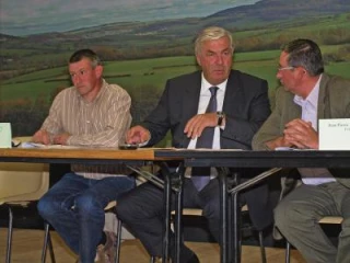 Une activité stable dans un environnement perturbé