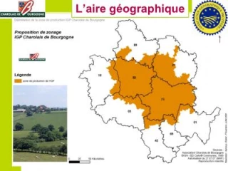 Pré-information pour l'IGP «Charolais de Bourgogne»