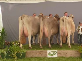Le prix du lait a motivé les ventes