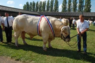 Retour réussi à Magny-Cours