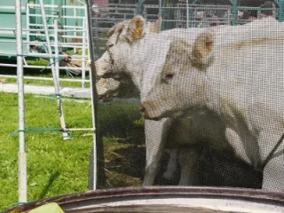 Coup de frein sur les gros investissements