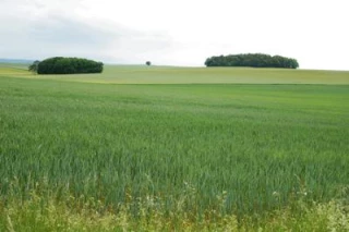 Moins de monde mais autant de surface