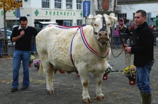 Encore une belle présentation