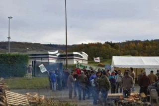 La longue marche de l'élevage français