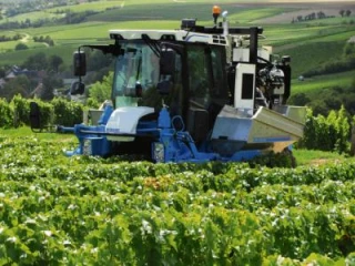 Le rendez-vous des filières vigne, vin, fruits et légumes