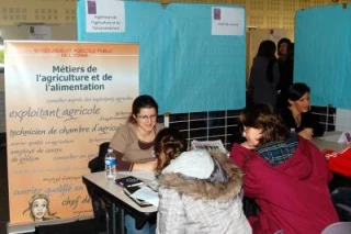 Des métiers qui s'écrivent aussi au féminin