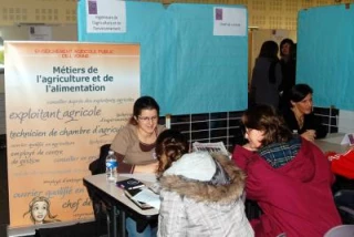 Des métiers qui s'écrivent aussi au féminin