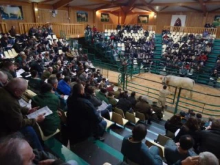 Des enchères en progression