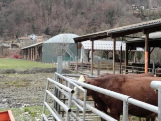 Les agriculteurs bourguignons à la découverte de la "petite" méthanisation