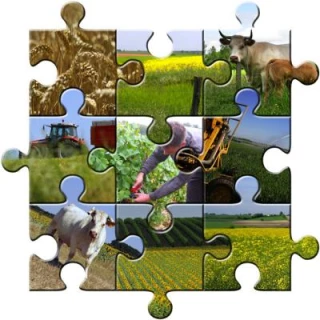 L'agriculture bourguignonne à la loupe