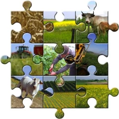L'agriculture bourguignonne à la loupe