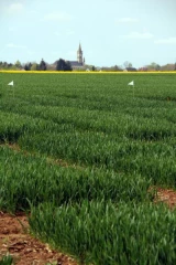 La recherche agronomique fédère