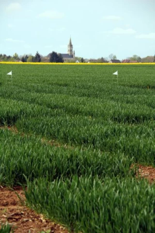 La recherche agronomique fédère