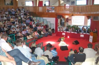 Une activité en demi-teinte