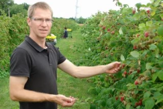 Une activité couleur framboise
