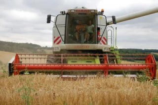 «Le rendement est conditionné par  l'exposition au froid de février »