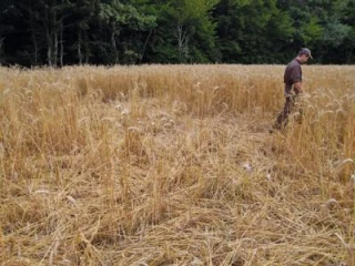 Réagir rapidement est une nécessité