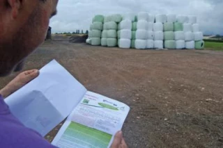 Production satisfaisante, qualité  décevante ?