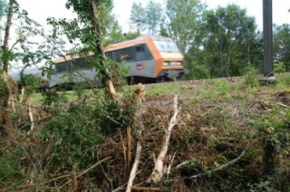 Le ras-le-bol des éleveurs  riverains
