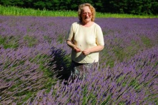Quand l'Yonne a goût  de Provence