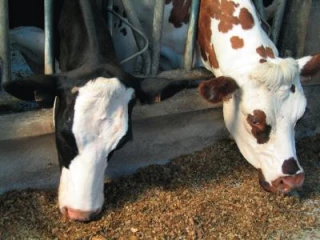 Ajustements à la marge