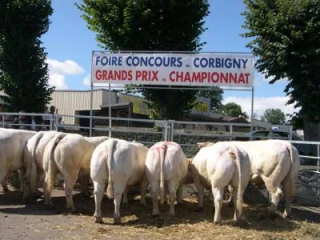 «Un traît d'union entre monde citadin et ruralité»