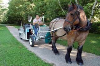 Quand le cheval se fait cantonnier