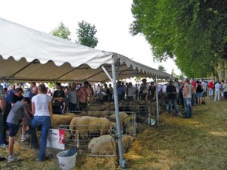 Un record en terme de ventes