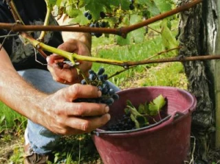 Des informations clé et des conseils pratiques