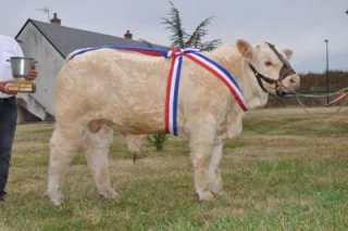 L'acte II de la rentrée charolaise