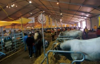 La Bourgogne au sommet