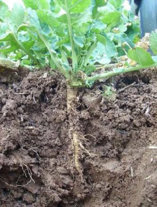 Tout n'est pas perdu !