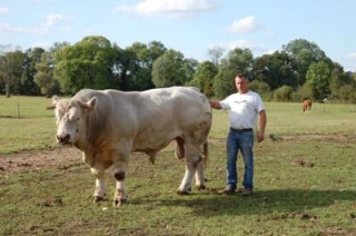 «Cournon est le meilleur  rendez-vous pour faire voir les taureaux»