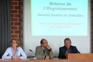 Relance de l'élevage allaitant