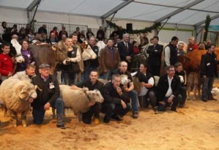 Une ferme Côte d'Or très festive