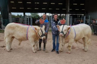 Une belle présentation et des achats