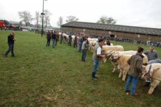 L'excellence mais pas la foule