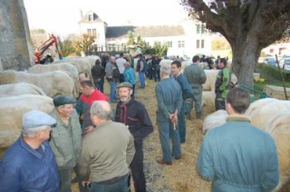 Les organisateurs voient plus grand pour la prochaine édition