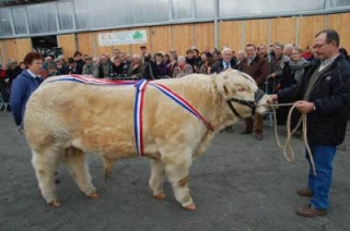 Le concours de Luzy, tel un joyau 
