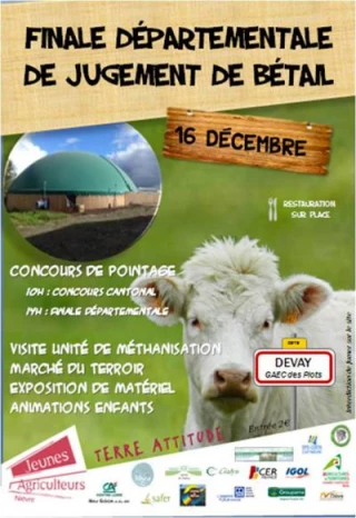 Finale départementale de jugement de bétail