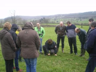 Assimiler la médecine de troupeau et réduire les pertes