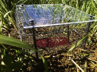 Se familiariser avec la biodiversité