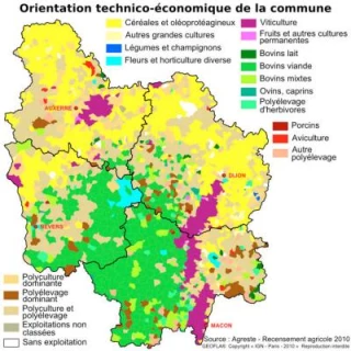 L'agriculture bourguignonne en chiffres et en action