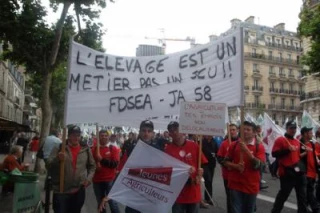 120 éleveurs nivernais  battent le pavé parisien