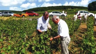 Comment panser les plaies ?