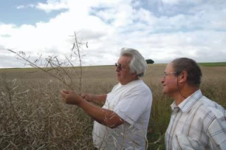 Ces épiphénomènes qui anéantissent 11 mois de travail agricole