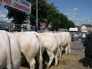 Qualité, encore et toujours !