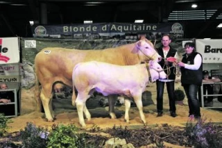 Trois podiums  au concours national