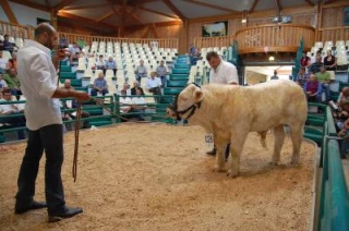 Petite déception pour le Gercela