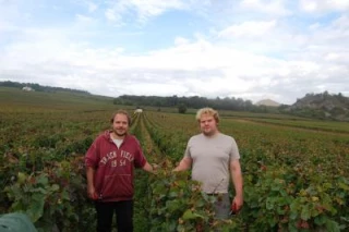Ils achètent du raisin,  ils en font du bon vin